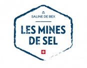 Salt Mine Bex Logo
